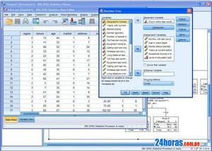 ASESORA ESTADISTICA