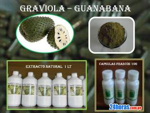 Venta de Graviola Guanabana