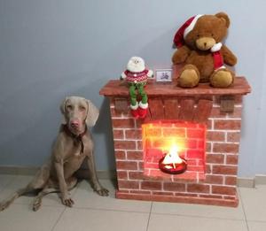 Vendo Chimenea Navidea