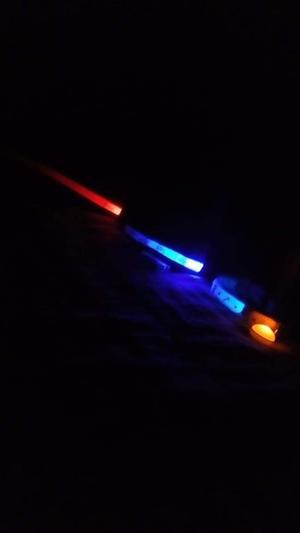 Collares led para perros