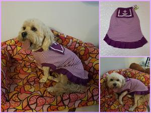 Vestido Marinera para Perro O Gato