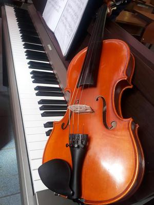 Violin Semiprofesional de Escuela