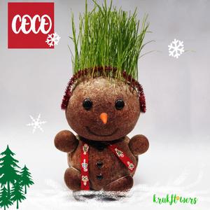 Coco de Navidad