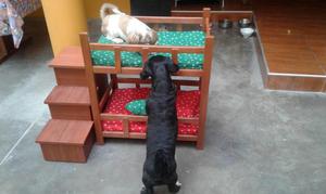 camitas de dos niveles para mascotas, madera cedro