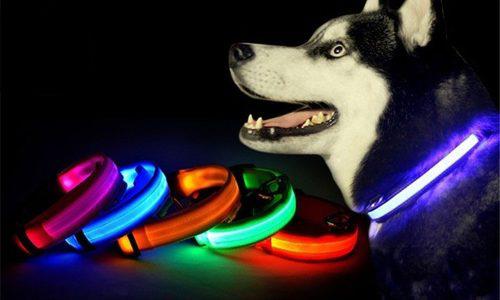 Collar Para Perros Con Luces Led De 3 Tiempos - Regulable