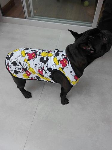 Ropa Para Mascotas