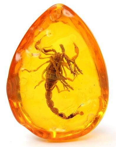 Resina Color Ámbar Amuleto Escorpion Inclusión