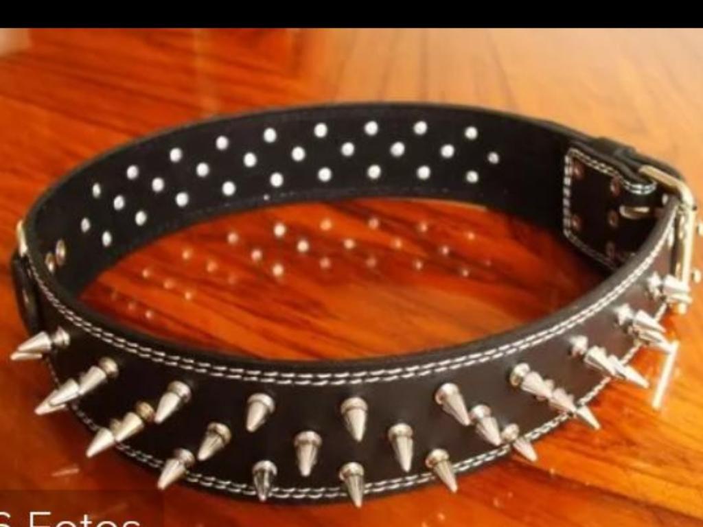 Collarines con Puas para Perro Raza Fuer