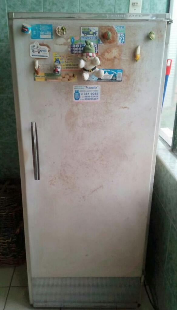 Refrigeradora de Hielo