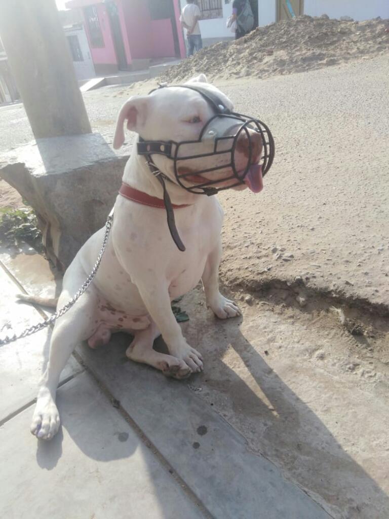 Disponible para Monta
