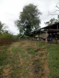 Vendo terreno 10 hectáreas morales tarapoto en Tarapoto