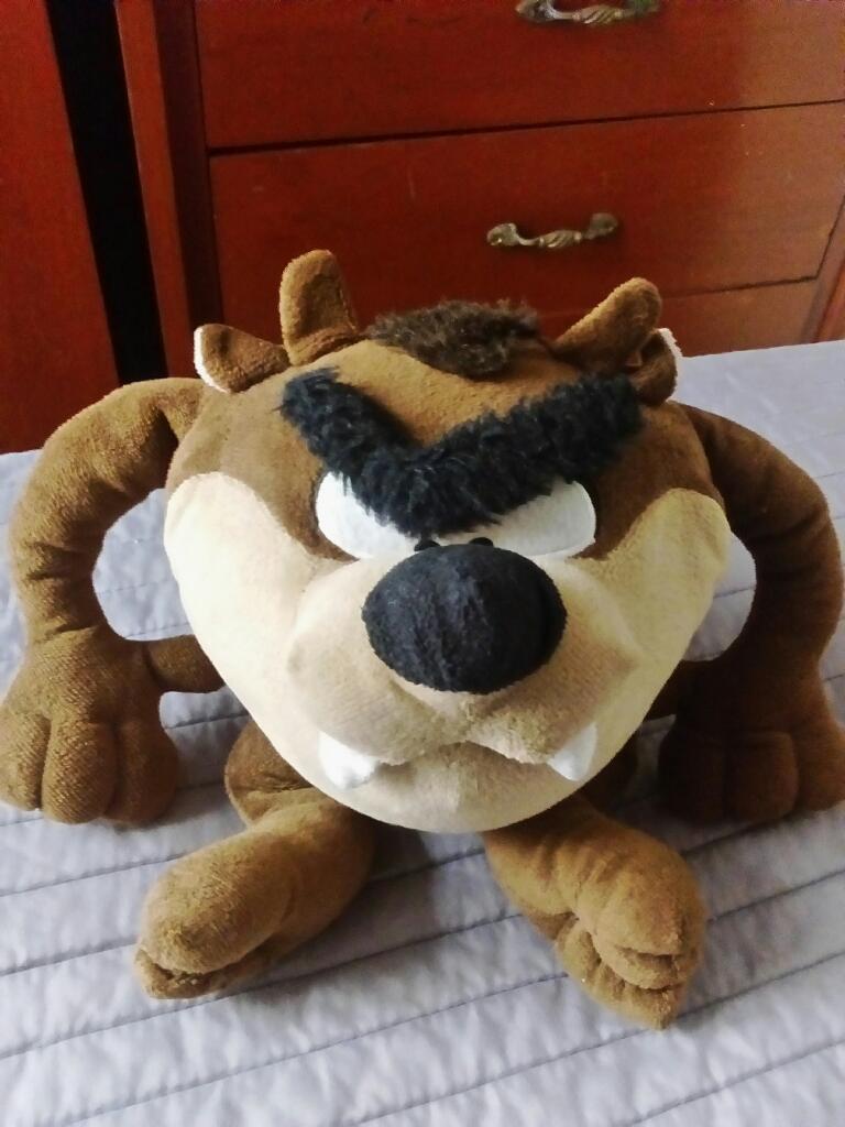 Peluche Tazmania