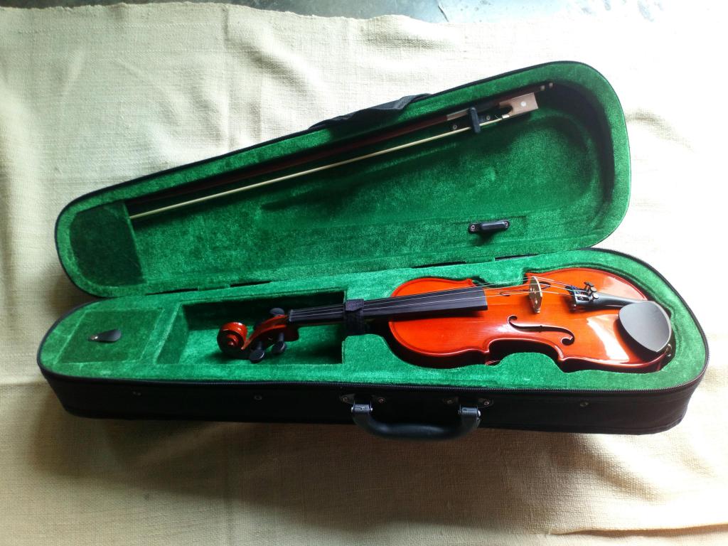 Se vende violin Hohner nuevo de un 1/8 con hombrera