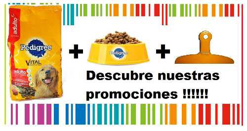 Alimento Para Mascota,pedigree Adulto+un Plato +gancho