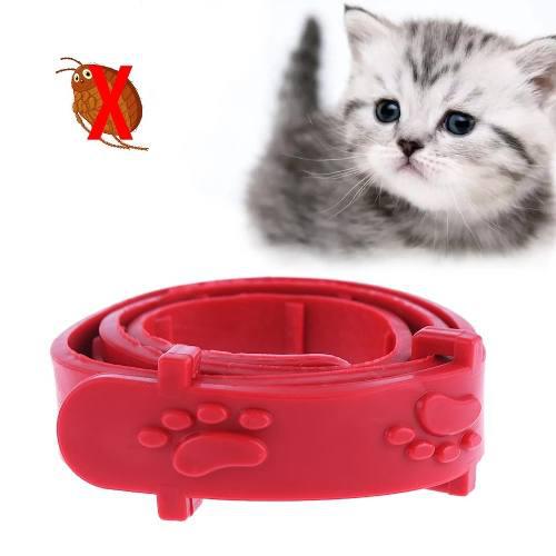 Collar Antipulgas Rojo Para Gatos O Perros Pequeños