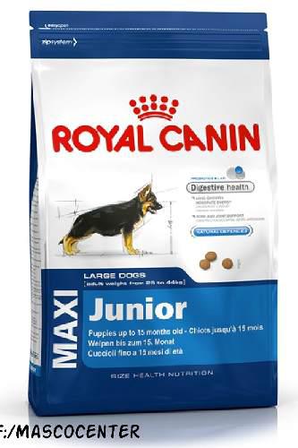 Delivery Gratis Royal Canin Maxi Junior