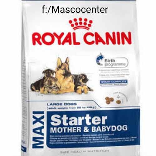 Delivery Gratis Royal Canin Maxi Starter X 15kg