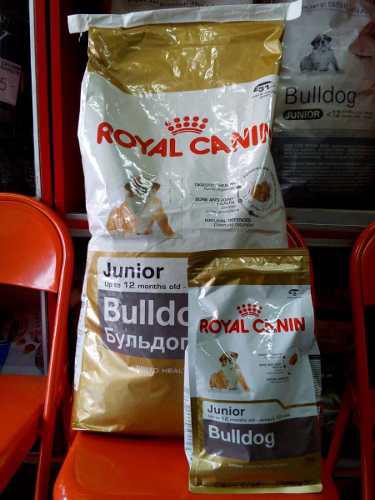 Oferta Royal Canin Bulldog Junior 12 Kg + 1 Kg Gratis