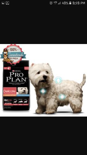 Pro Plan Delicate Dog De 7kg.