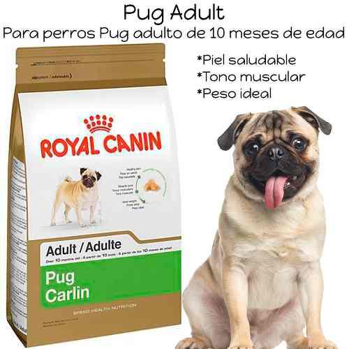 Royal Canin Pug Adulto 3 Kg S/ 115 Recojo En Vet En San Luis
