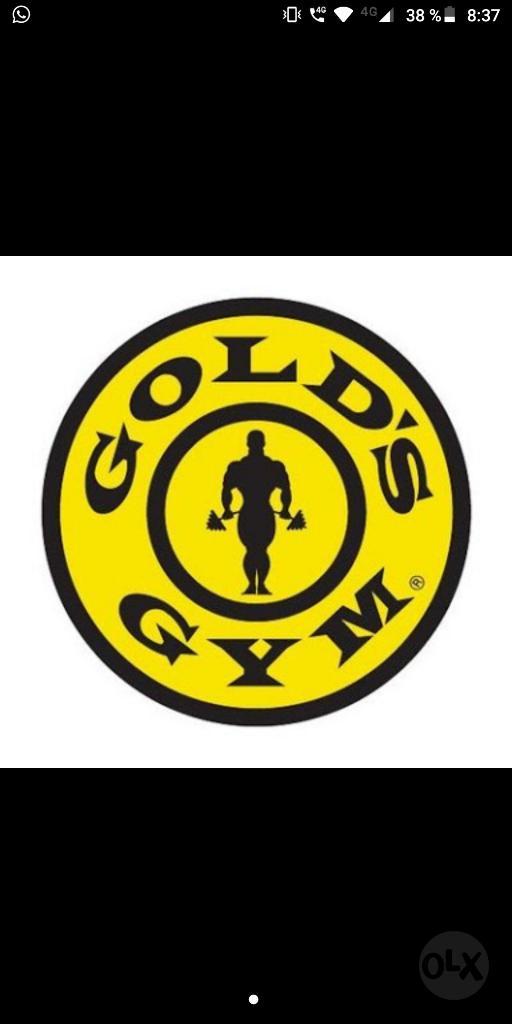 Se Traspasa Membresía Gold's Gym Sjl