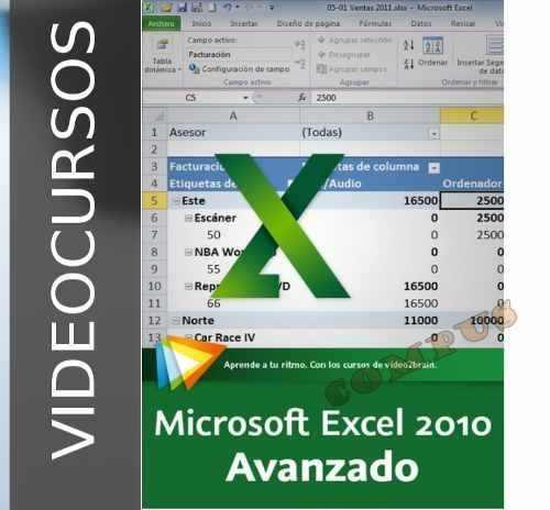 Aprende Microsoft Excel 2010 Avanzado - Exclusivo Videocurso