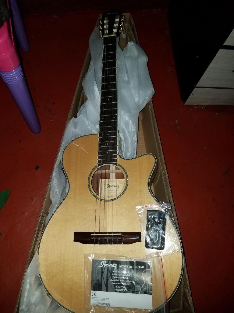Guitarra Ibanez Aeg 10