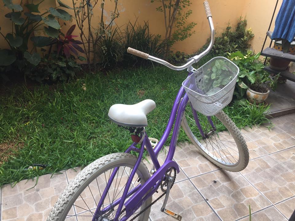 Vendo bicicleta vintage lila