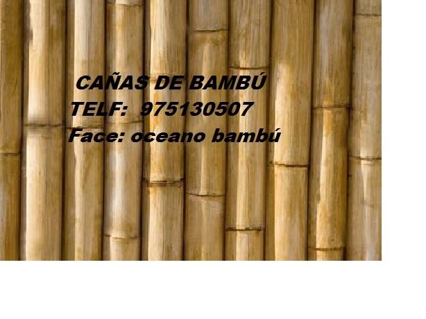 Caña de bambú
