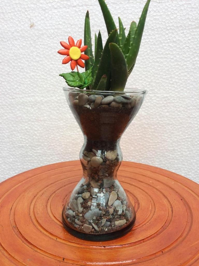 Cactus Alo Vera Sabila Decoración de mesa