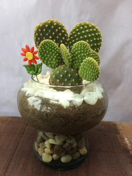 Cactus Orejas de Mickey Decoracion de Mesa
