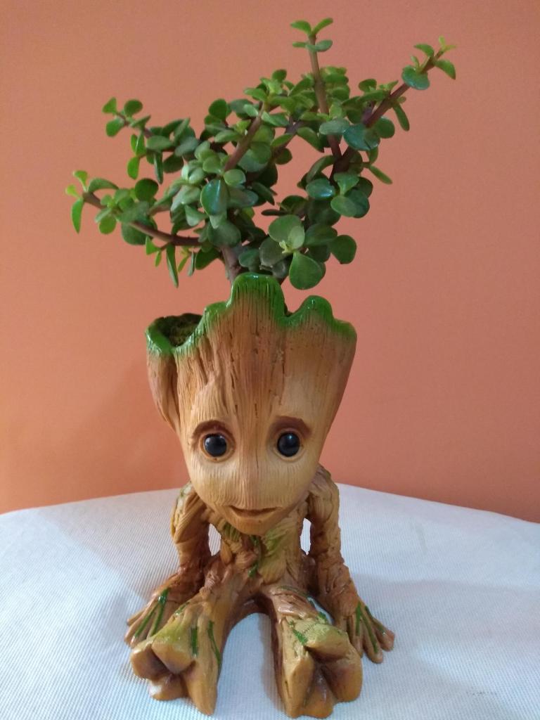 Macetero Baby Groot