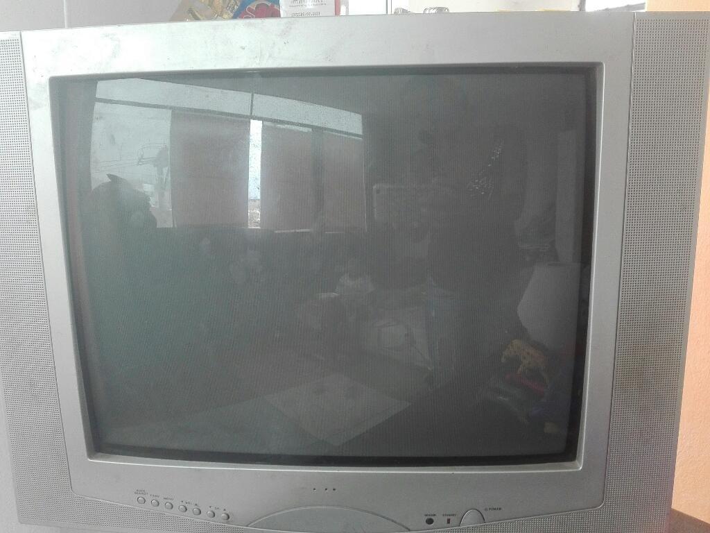 Televisor Modelo Viejo de 21''