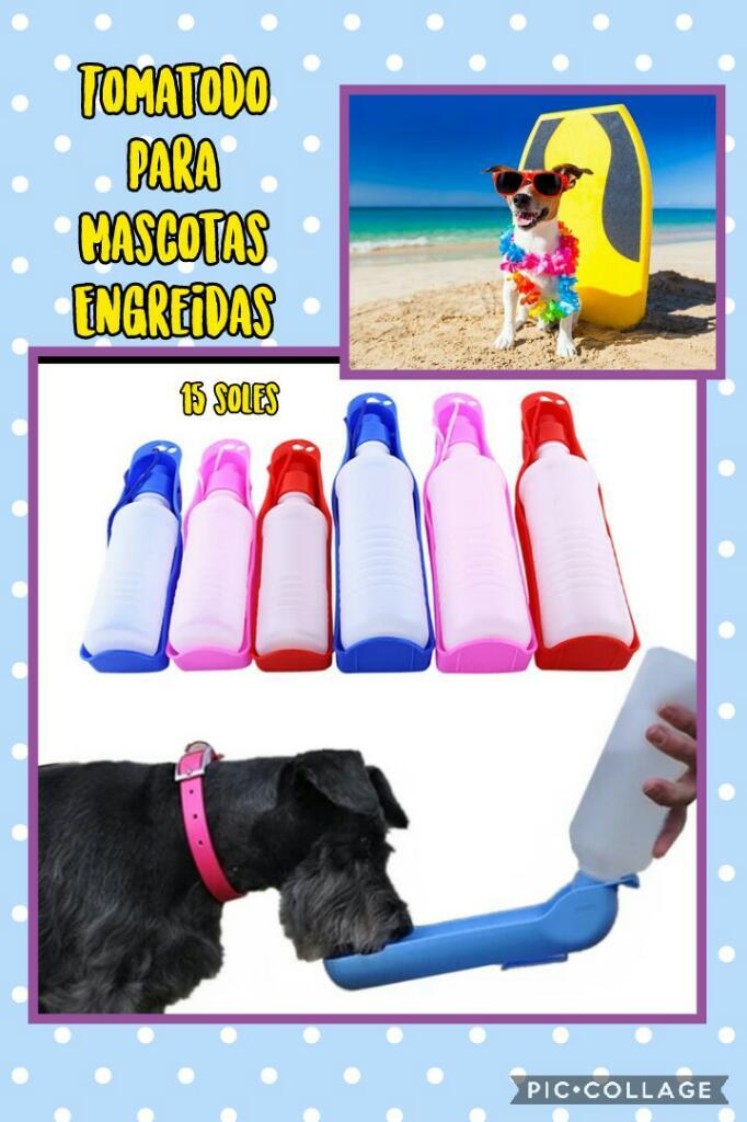 Mascotas Accesorios