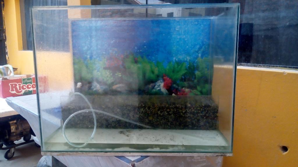 Regalo Pescera a 50 Soles