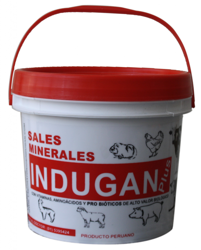 Se vende sales minerales indugan