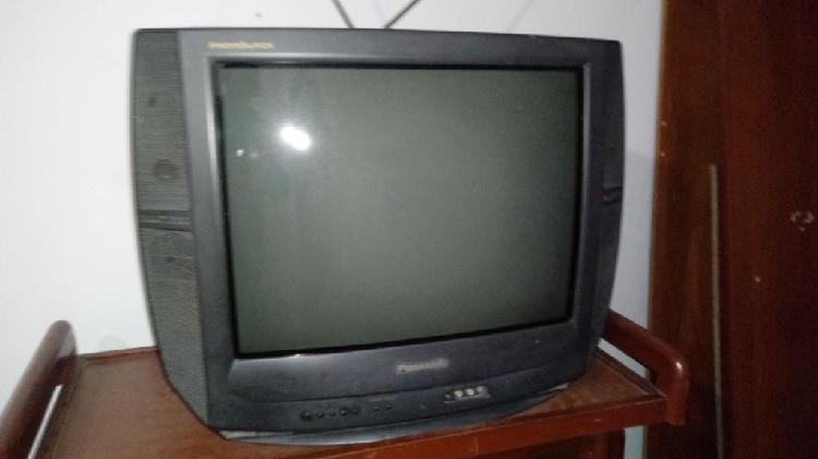 Televisor Panasonic 21 Pulgadas