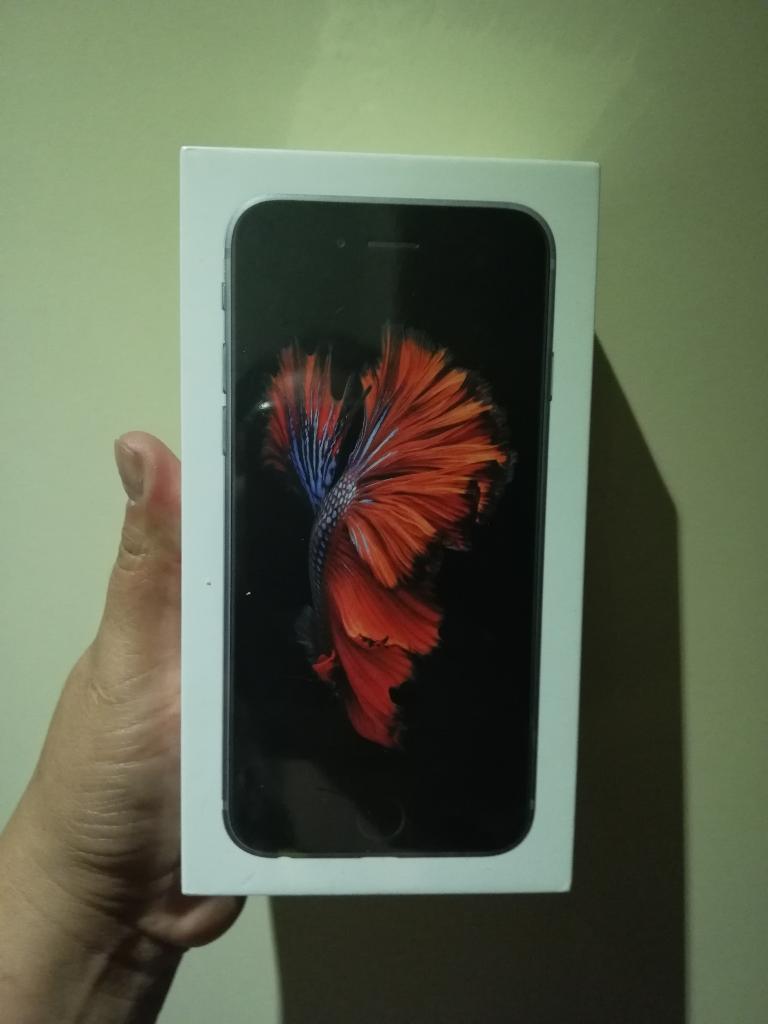 iPhone 6s 32 Gb Silver Space