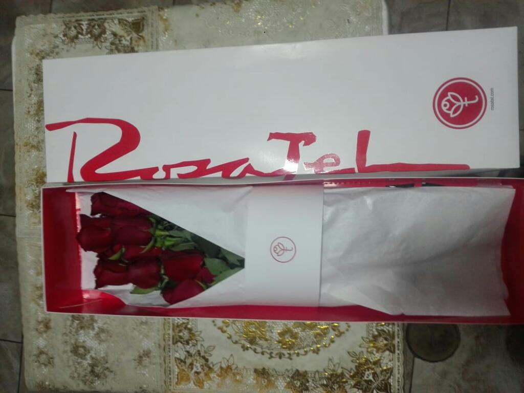 Rosas Rojas Rosatel 12