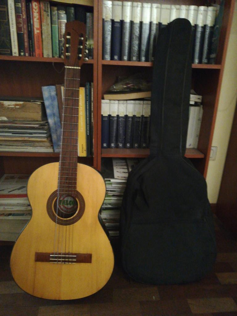 Guitarra Falcon + Estuche