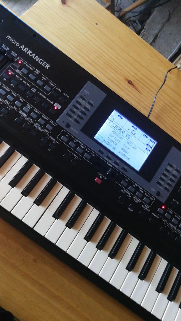 Vendo Korg Microarrager