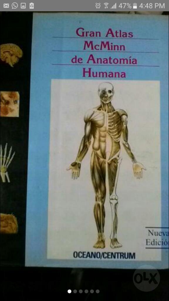 Enciclopedia de Anatomia Mc Minn