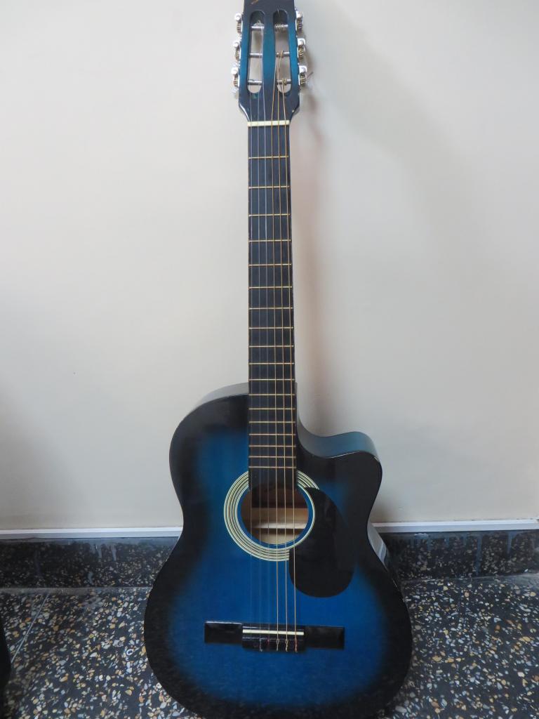Guitarra Acustica Seminueva
