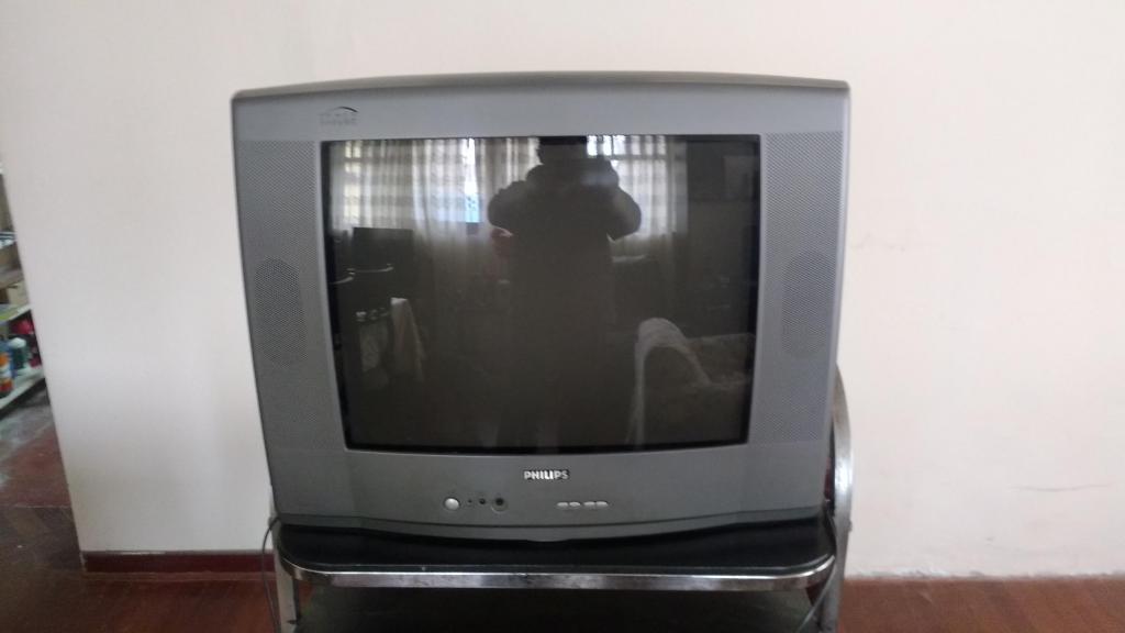 Tv Philips de 21 pulgadas