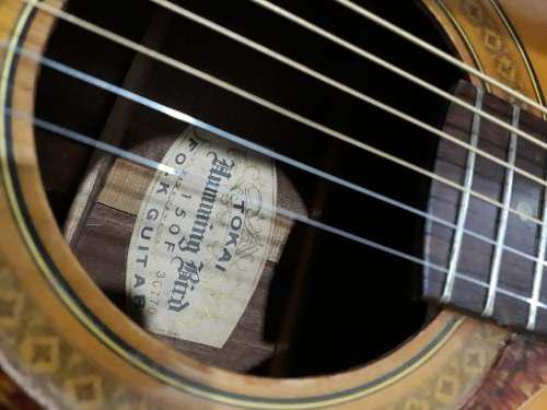 Tokai Gakki 150f Humming Bird Guitarra Acústica