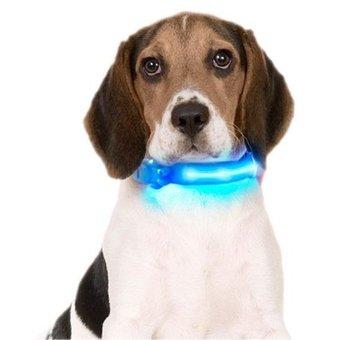 Collare LED para perros