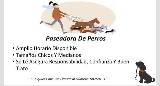 Paseadora de Perros