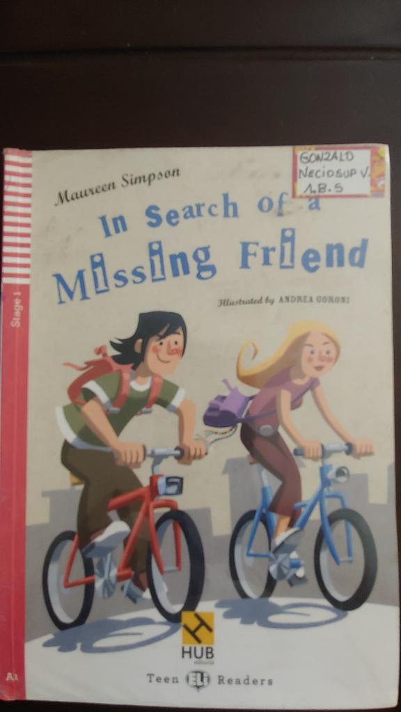 In Search Of a Missing Friend 10 Soles