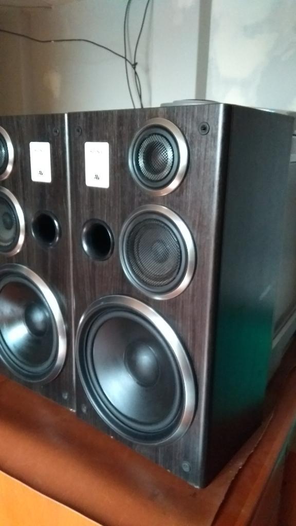 Vendo Parlantes 160 Watts