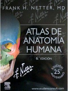 Atlas De Anatomía Humana: Frank H. Netter 6ta Edición.